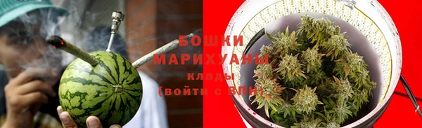 индика Вязники