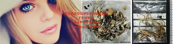 стаф Вяземский