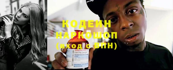 индика Вязники