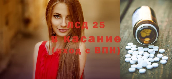 стаф Вяземский