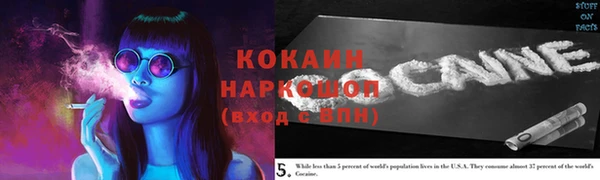 индика Вязники