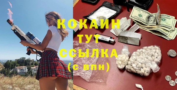 стаф Вяземский