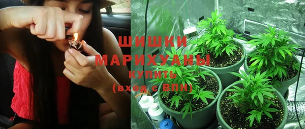 стаф Вяземский