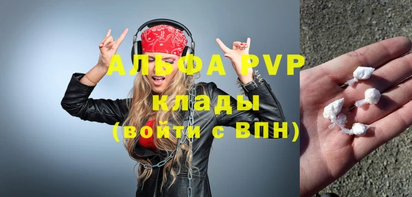 индика Вязники