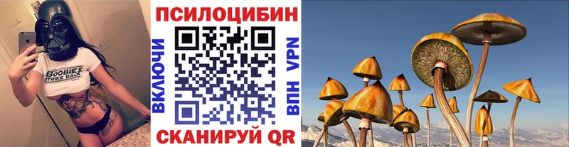 Псилоцибиновые грибы Cubensis  Муром 
